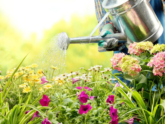 et inspirerende bilde på temaet hagearbeid som hobby gartnere virkelig kan nyte - lilla og gule blomster