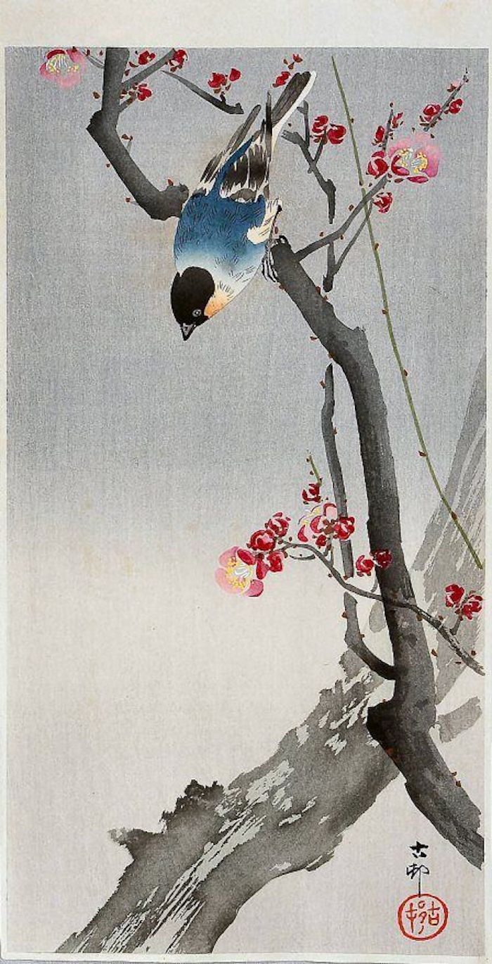 Desen japonez, o pasăre albastră, un cocos mare pe un cireș