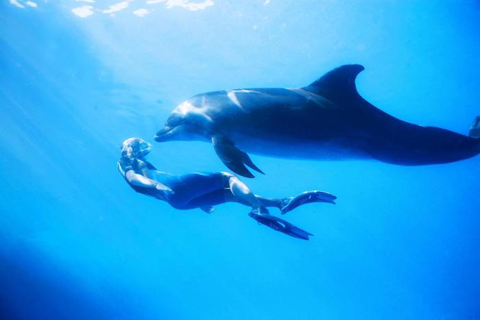 ir čia yra nuotrauka su vyru, plaukiojančiu kartu su didžiuoju pilkuoju delfinu jūroje su mėlynu gaivu vandeniu