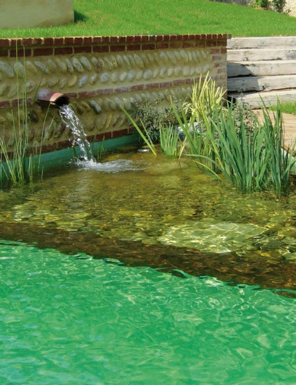 plavalni ribnik ozadje zeleno vodo