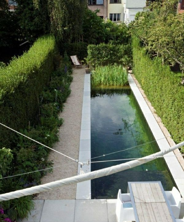 plavalni ribnik ozadje in-vrt