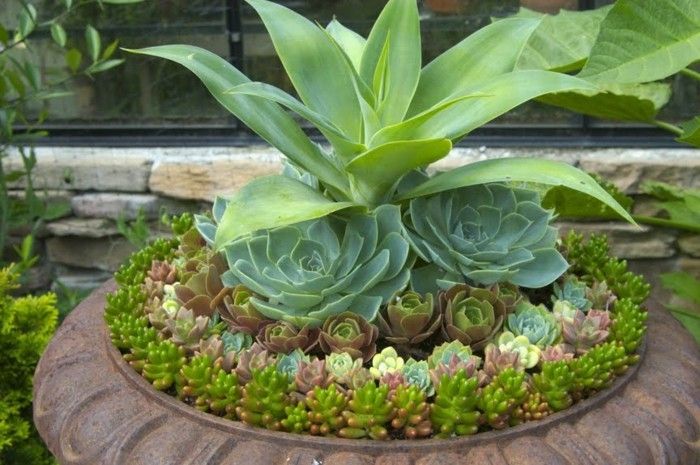 foarte interesant-verde-plante-creativ-frumoase grădini de make-