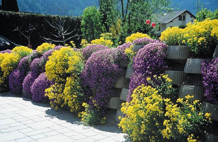 Ta en titt på denne ideen for hagedesign - her er noen planteringer med gule og lilla blomster