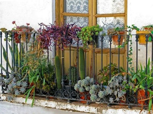 Yan yüz koruma-for-balkon çiçek dekorasyon-kaktüsler