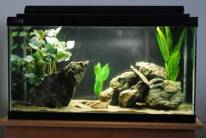 proste akwarium device wodorosty morskie akwarium-design-akwarium-set