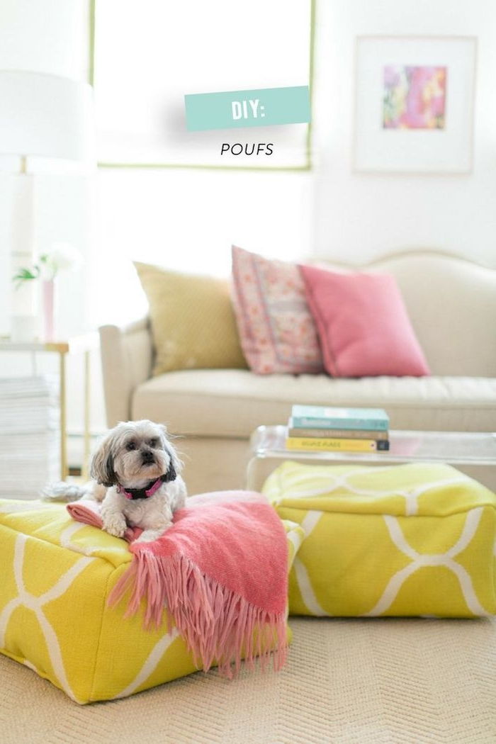 söt hund valp hemma kärleksfull atmosfär färska färger möbler grön rosa vit