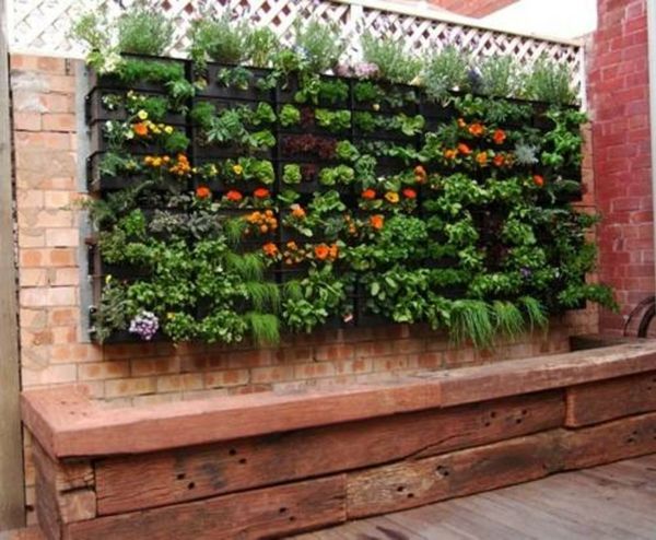 mali vrt - veliko rastlin na steni