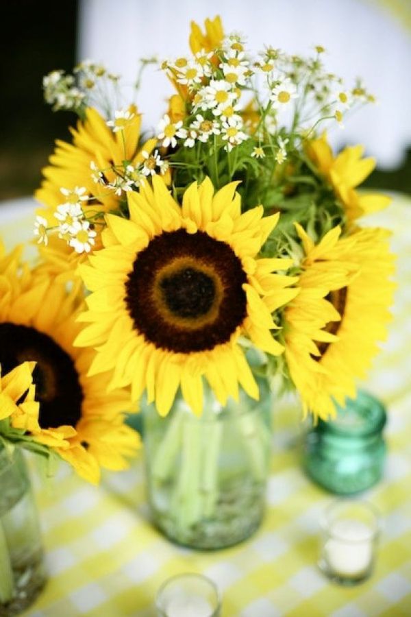 soare-tischdeko-margarete cu-flori-frumos-galben-flori aranjamente-in-galben