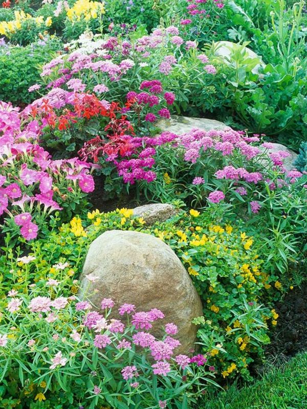 Barvito cvetje v čudovitem vrtu