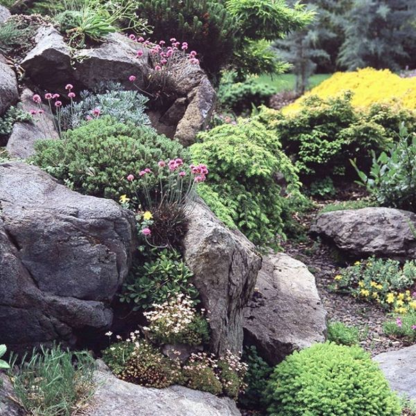 vrtnarjenje s kamni in zelenimi rastlinami