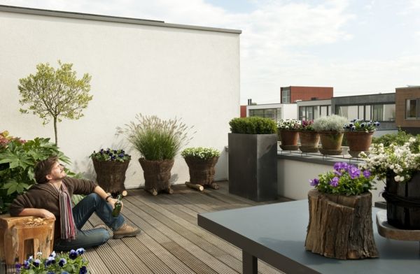 pansy-planta-por-um-moderno-terraço projeto