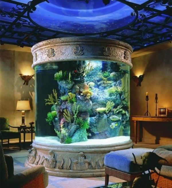 super moderni idėja-akvariumas-didžiulis dydis