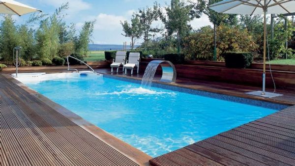 un moderno-piscina nell'idea garden-design