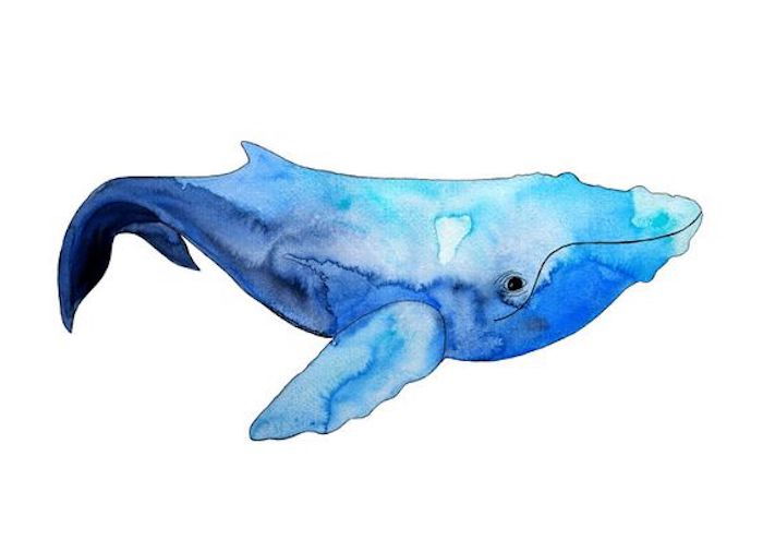 Aqarell tatuaje, motive oceanice, motive animale, balena albastra, picaturi de apa