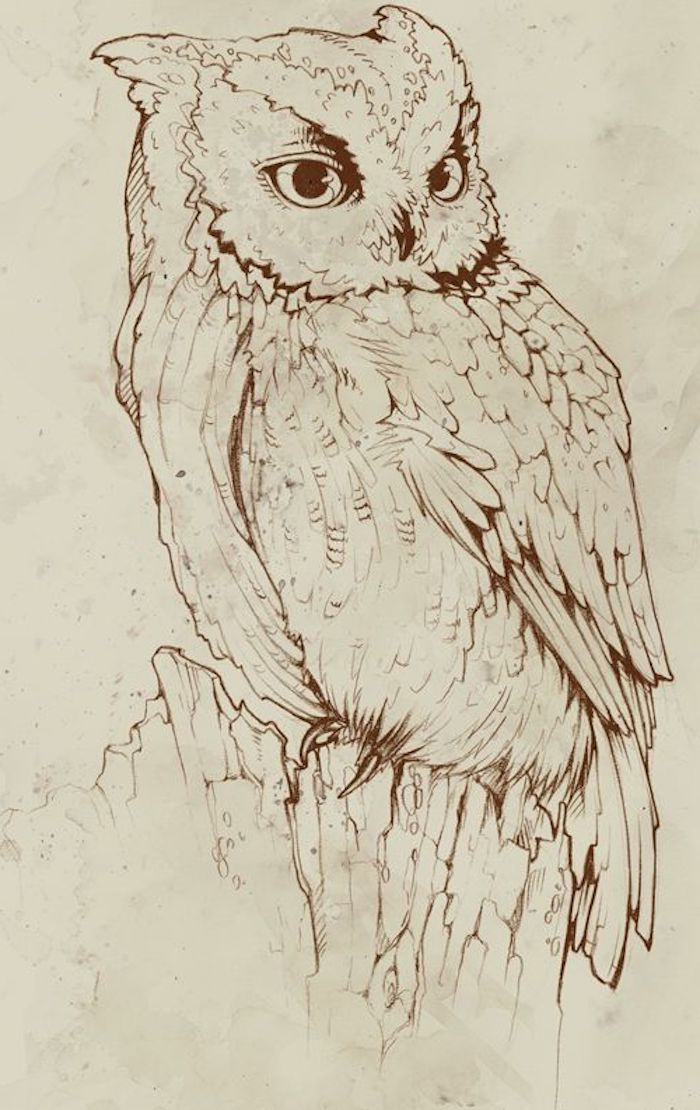 Owl, bufniță de vultur, desen cu culoare maro, hârtie gălbuie