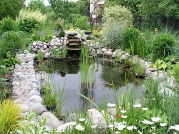 ribnik-rastlina-obdan z-stones-