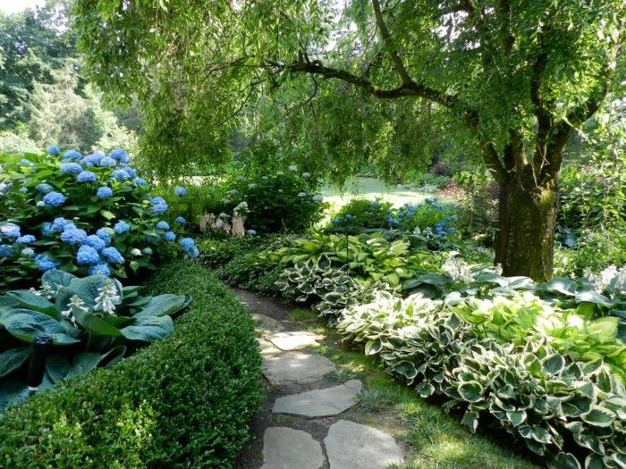 tvenkinys-augalų dar-A-puikus-idėja-už-Garden Design-su tvenkiniu