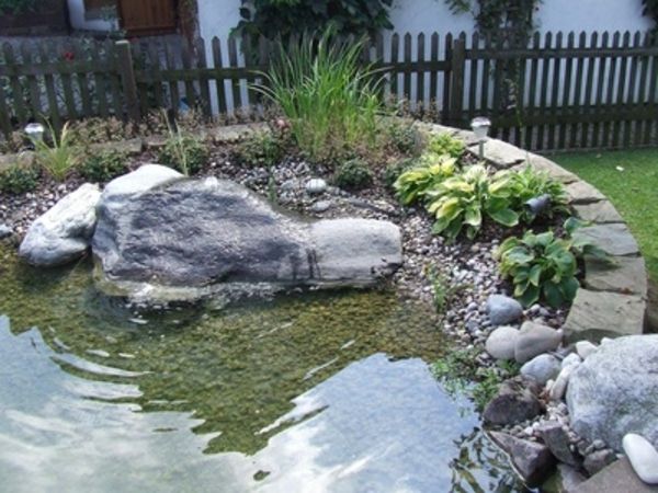 ribnik-rastlina-zelo dobra-design