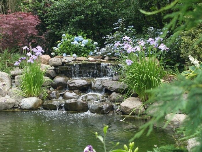 ribnik-rastlina-velik vrt dizajn-z-ribnik