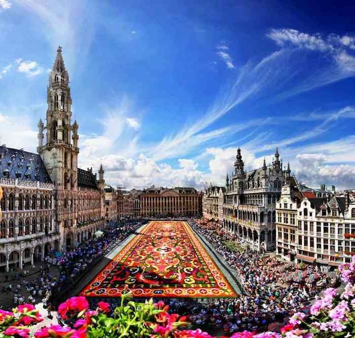 Covor de trandafiri de flori proaspete begonia în centrul evenimentelor culturale de la Bruxelles