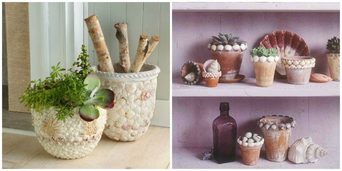 mini gėlių vazonai yra gėlių puodeliai su kriaukliais ir puikiai naudojami namuose Viduržemio jūros regione
