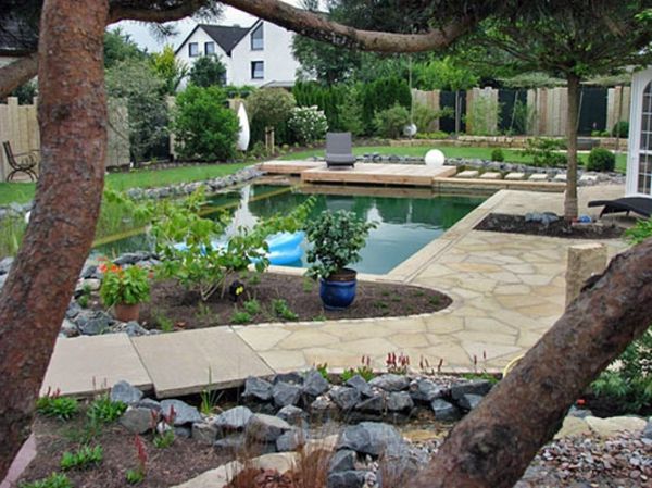 modern tuinontwerp met een meer en veel groene installaties