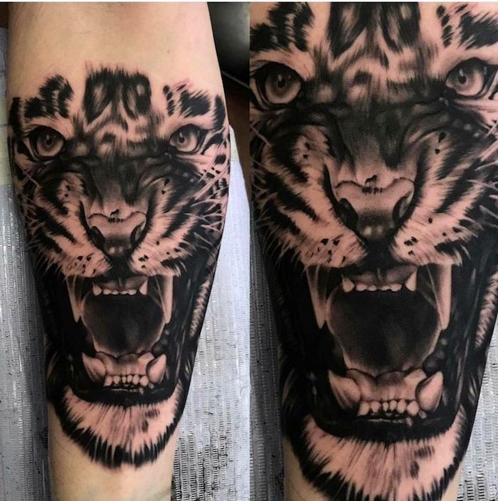 tatuagem de cabeça de tigre, braço, tatuagem de braço em preto e branco