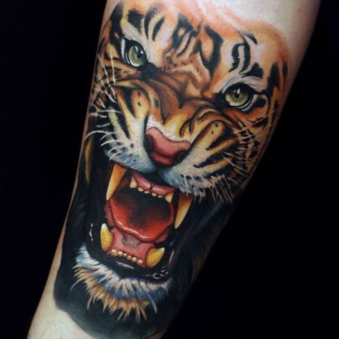 tiger huvud tatuering, ben, direktattoo, färgstark tatuering