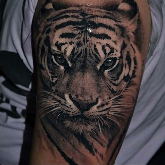 tiger tatueringar, överarm, övre arm tatuering, vit t-shirt