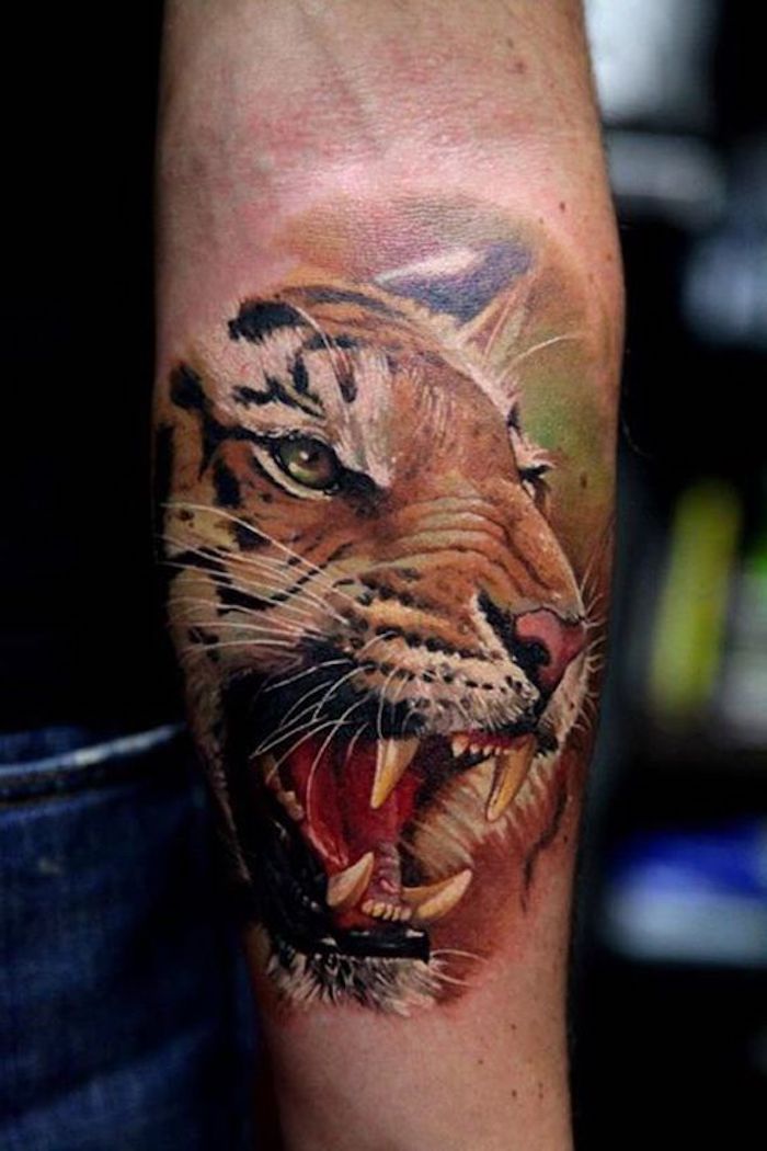 tiger tatueringar, färgstark arm tatuering, tiger huvud, tatuering