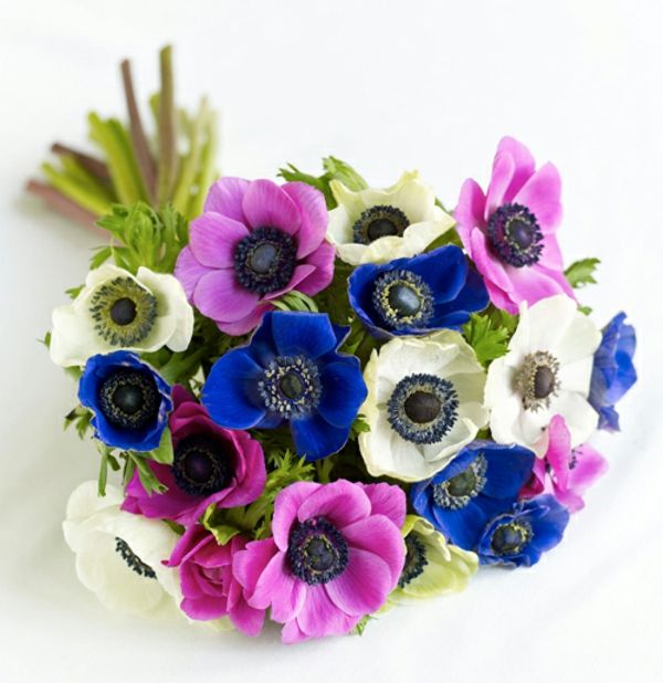 stor-anemoner Bouquet-med-vakre-farger