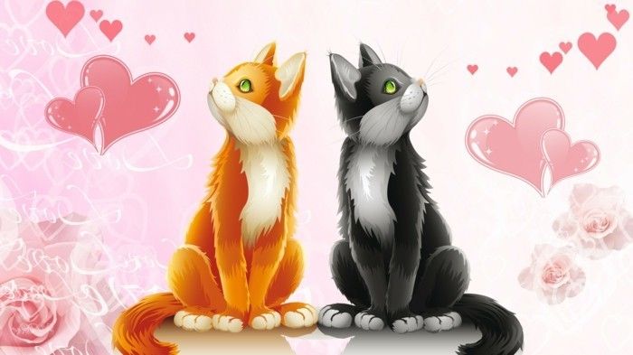 mare-animale-două tapet pisica-Valentine
