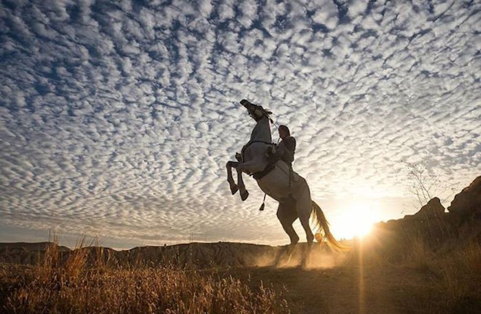 cerul albastru cu nori albi, un călăreț și un cal alb sălbatic la apusul soarelui, cu privire la pozele calului și la zâmbetele frumoase