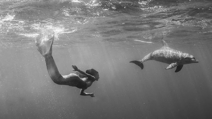 Og her er et annet eventyrbilde - her finner du en havfrue-kvinne som flyter i havet sammen med en stor grå delfin
