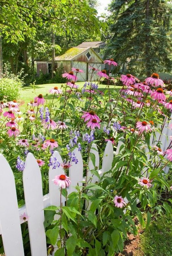 traditoneller záhradný plot z dreva-on-bielych kvetov