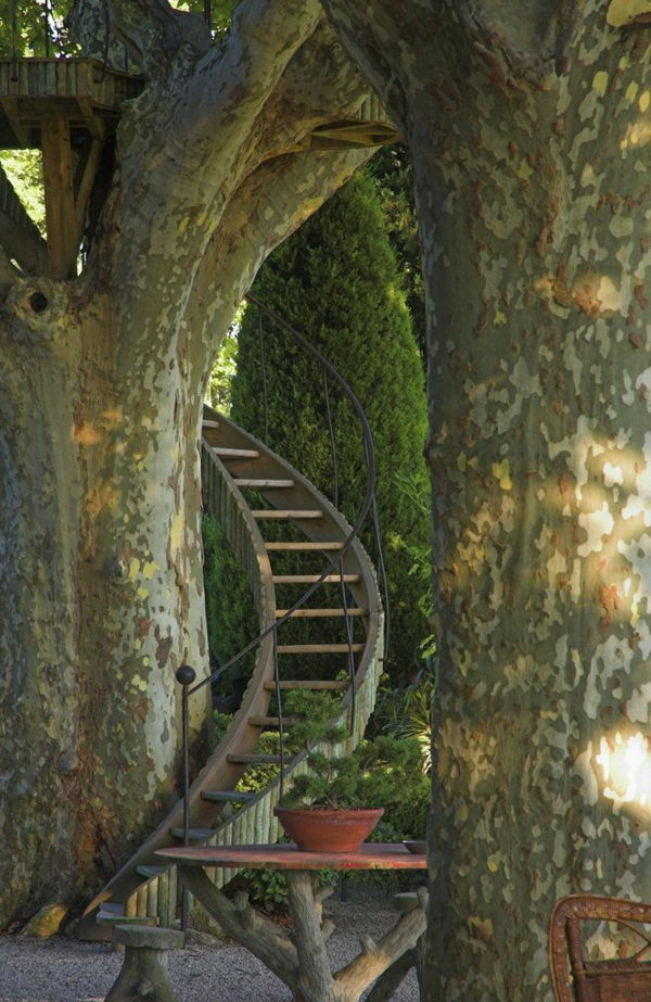 vrt podobno graditi v-sanj stopnicah-in-the-drevesno