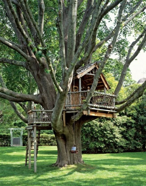 sanjsko drevo hiše, zelena in otroško igrišče preklado