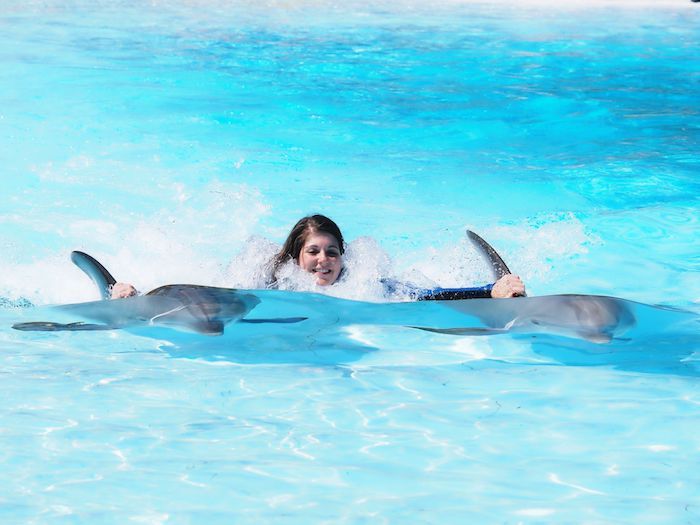 Una giovane donna che nuota insieme a due delfini grigi in una piscina con acqua cristallina, nuotando sul tema dei delfini