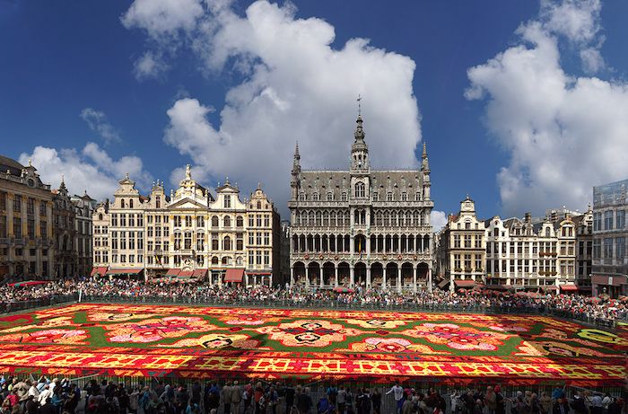 vis de covor de la flori festival de culturi culturi și flori în belgium