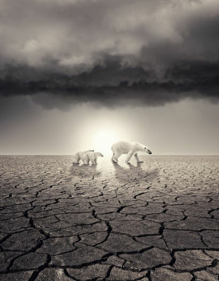 sad-making-the-following-the-aquecimento global e dois ursos-em-deserto polar