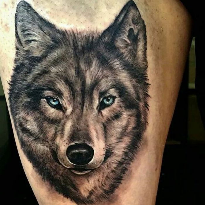 lupul tribal - aici este un tatuaj lup - un lup cu ochi albaștri frumoși