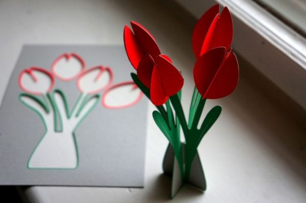 tulipánu Drotár-červeno-krásna