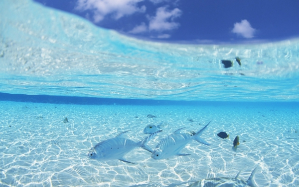 pod-the-water-holidays-maldivy-travel-maldives-travel-ideas-for-travel Dovolenka na Maledivách