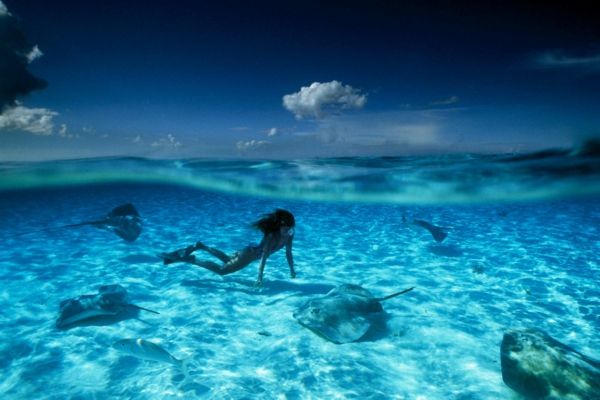 Prancūzijos Polinezijos nuotrauka - moteris plaukioja su žuvimi