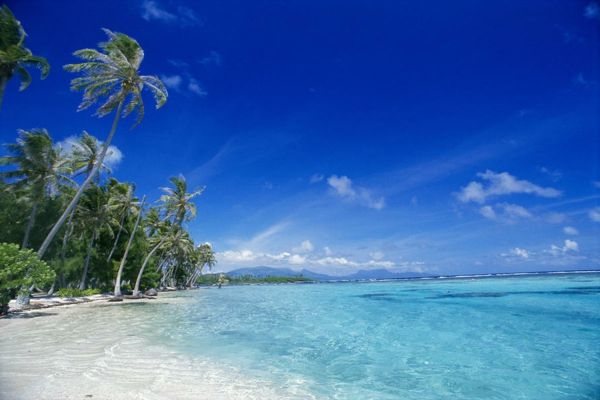 Holiday-Prancūzų Polinezija Spalvingas išvaizdos