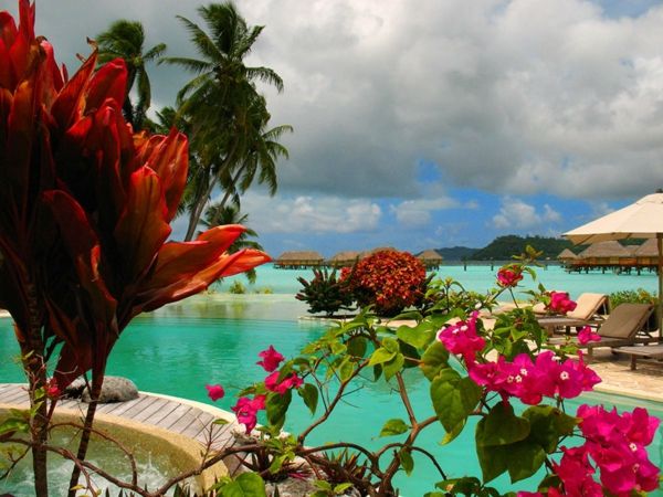 Holiday-Prancūzų Polinezija gražių gėlių