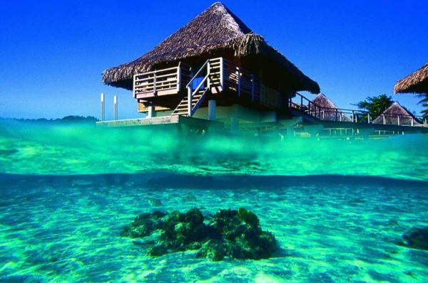 Atostogos-in-Prancūzijos Polinezija-under-ir-per-vandens