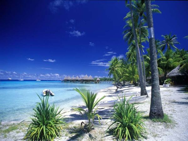 Atostogos-in-Prancūzijos Polinezija daugeliu delnai