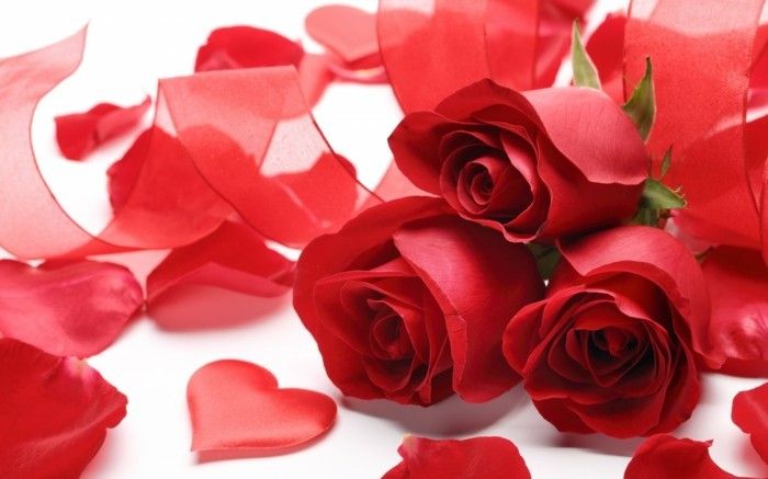 valentines tapet unikaler-bukett-of-røde roser