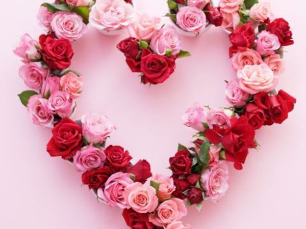darilo-Valentinovo-rdeče-roza-vrtnice